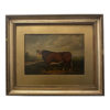 th century english cow oil painting framed